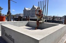 Robben Island Tickets, Penguins & Cape of Good Hope Private Tour