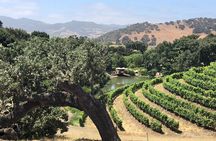 Unique Santa Barbara Wine Country Private Wine Tours and Tastings