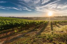 Split/Trogir/Kastela: Krka Private Tour - option: Wine Tasting