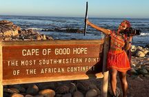 Table Mountain, Penguins & Cape Point Small Group Tour Cape Town