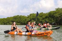 Kayaking Adventure at the Nichupte Lagoon in Cancun