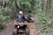 Private Half-Day ATVs Off-Road Tour at Medellín's Countryside!!