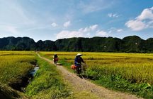 Private Full-day Tour in Quintessence of Ninh Binh 