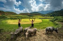 Ninh Binh Group Tour of 11 from Hanoi via Mua Cave Tam Coc Hoa Lu