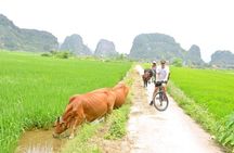 Ninh Binh Private Tour to Mua Cave Trang An Grottoes From Hanoi