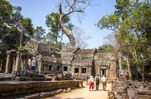Private Sunrise Angkor Tour - Expert Guide & Breakfast Included 