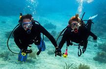 Scuba Diving Activity in Dubai with Hotel Pickup