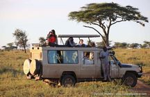 5 Days Serengeti Camping Safari