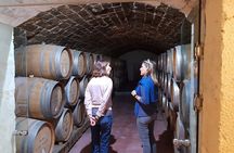 Crete Wine & Olive Oil Tour 