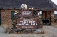 Day Tour Experience to Tsavo East National Park
