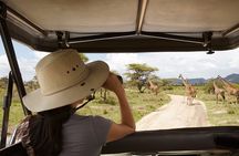 2 days Majestic Tanzania safari Tarangire and Ngorongoro Crater