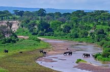 2 days Majestic Tanzania safari Tarangire and Ngorongoro Crater