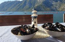 Private Shore Excursion in Kotor Bay with Organic Lunch - 2 Hours