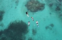 Half Day Private Boat Experience with Appetizer and Drinks