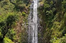Mt. Kilimanjaro Day hike Materuni waterfall 