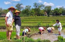 Cycling Tour in Yogyakarta with Lunch 3-Hour