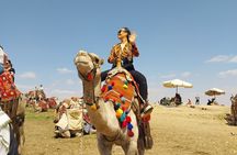 Giza Pyramids, Camel Ride, ATV & Shopping Tour with Dinner Cruise
