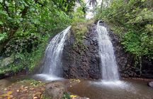 Tahiti Half Day Coastal Private Tour