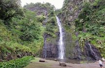 Tahiti Half Day Coastal Private Tour