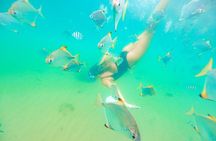 Snorkelling, Kayaking & Fish Feeding Adventure