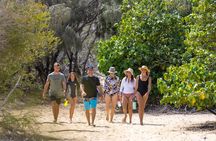 Snorkelling, Kayaking & Fish Feeding Adventure