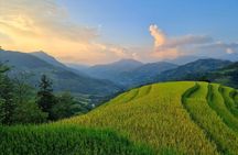 4 Days Trekking Hoang Su Phi, Ha Giang. Private Hiking Group