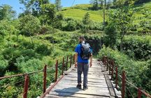 4 Days Trekking Hoang Su Phi, Ha Giang. Private Hiking Group