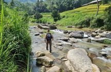 4 Days Trekking Hoang Su Phi, Ha Giang. Private Hiking Group