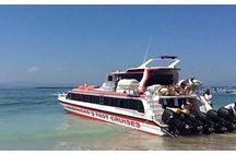 West Nusa Penida Full-Day Private Tour