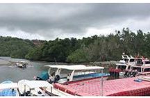 West Nusa Penida Full-Day Private Tour