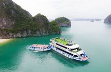 Halong Bay Luxury Cruise Full Day Tour from Hanoi: All inclusive