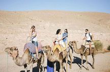 Agafay Sunset Tour with Camel Ride and Tea in a Nomad’s Tent