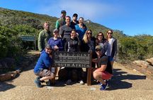 Seal Island,Cape of Good Hope&Penguins Shared Tour,From Cape Town