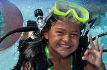 Private Discovery Scuba Diving with Sea Turtles