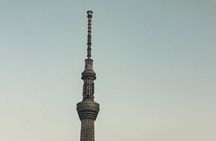 Private Tokyo Day-Tour by Car with English Speaking Guide.