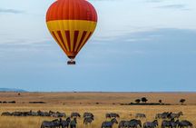 6 Days Private Midrange Tour of Tanzania Safari 