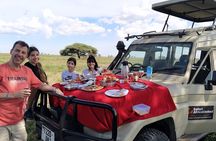6 Days Private Midrange Tour of Tanzania Safari 