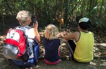 Customizable guided tour of Manuel Antonio National Park