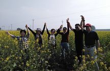 Golden Triangle Group Tour with 5 Star Hotels - All Inclusive