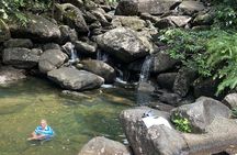 Private El Yunque Tour To Hidden Waterfall Remote Area