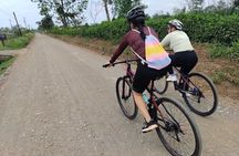 Rainforest Bike Tour in La Fortuna