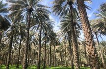 Private Friday Cattle Market-Nizwa and Jebel Akhdar-Full-Day Tour
