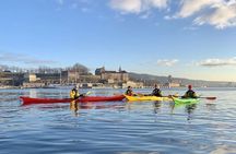 Oslo Sea Kayak Tour: Explore The Incredible Oslofjord 
