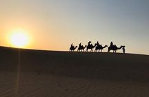Desert Safari Tour with Camel Ride and BBQ Dinner in VIP Camp
