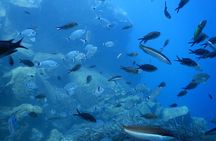 Discover Scuba Diving in Santorini