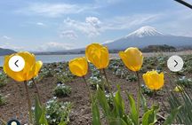 Mt. Fuji, Hakone Full-Day Private Tour with English Driver Guide