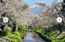 Mt. Fuji, Hakone Full-Day Private Tour with English Driver Guide