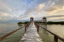 3 Islands tour Holbox. (yalahau, and more)