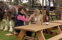  3- Hour Wine and Harvest the Hunter Horse Tour in Pokolbin