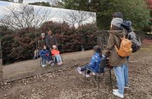 3 days Private Taxi Tour in Jeju Island 